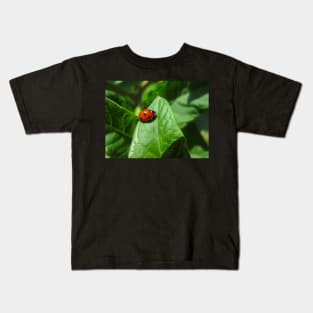 Lady Bug Kids T-Shirt